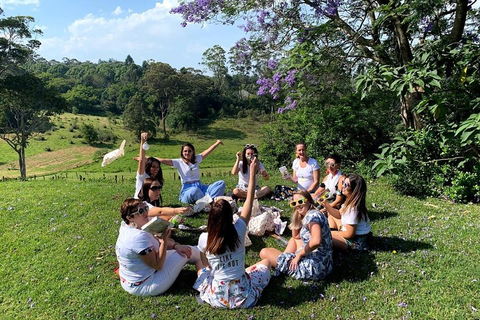 Full Day Mount Tamborine Winery Tour From Brisbane - ACT Tourism 4