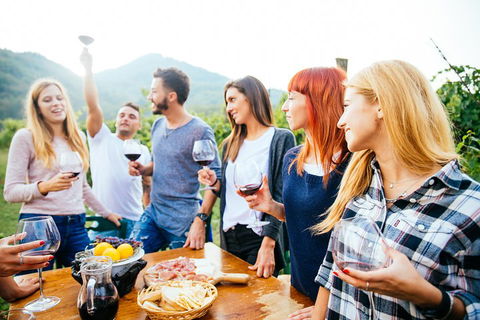Full Day Mount Tamborine Winery Tour From Brisbane - ACT Tourism 5
