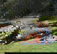 Mt Tamborine - Hinterland Wonders Self Guided - ACT Tourism