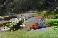 Mt Tamborine - Hinterland Wonders Self Guided, Surfers Paradise