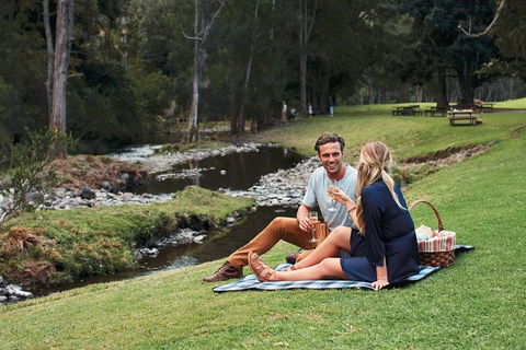 Mt Tamborine - Hinterland Wonders Self Guided - ACT Tourism 0