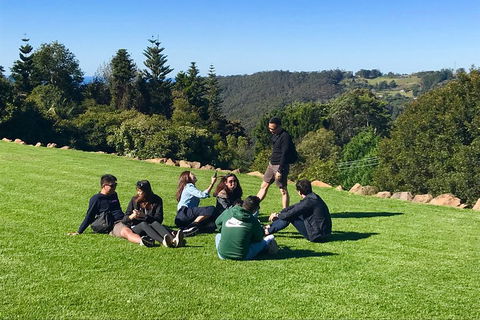 Mt Tamborine - Hinterland Wonders Self Guided - ACT Tourism 1