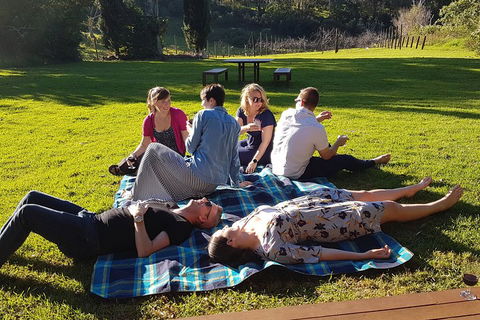 Mt Tamborine - Hinterland Wonders Self Guided - ACT Tourism 2