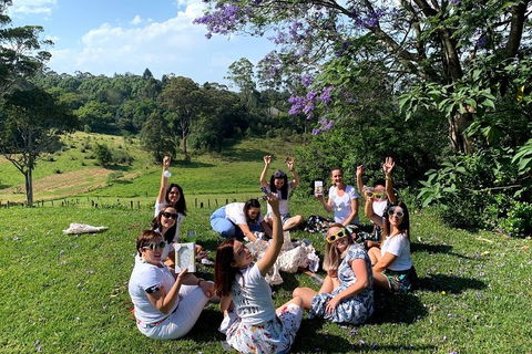 Mt Tamborine - Hinterland Wonders Self Guided - ACT Tourism 5