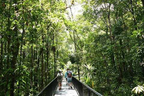 Daintree Dreaming Traditional Aboriginal Fishing From Cairns Or Port Douglas - ACT Tourism 3
