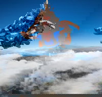 Reef and Rainforest Tandem Sky Dive in Cairns - ACT Tourism