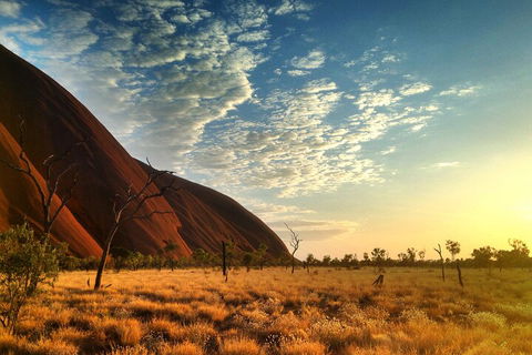 Highlights Of Uluru Including Sunrise And Breakfast - ACT Tourism 0
