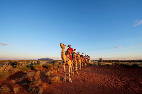 Uluru Small-Group Tour By Camel At Sunrise Or Sunset - ACT Tourism 3