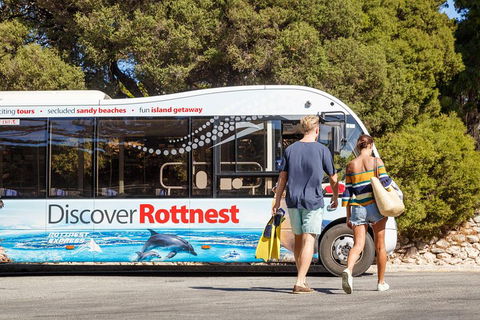 Discover Rottnest With Ferry & Bus Tour From Perth Or Fremantle - ACT Tourism 1
