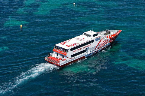 Discover Rottnest With Ferry & Bus Tour From Perth Or Fremantle - ACT Tourism 3