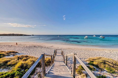 Discover Rottnest With Ferry & Bus Tour From Perth Or Fremantle - ACT Tourism 4