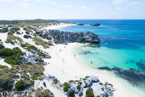 Discover Rottnest With Ferry & Bus Tour From Perth Or Fremantle - ACT Tourism 5