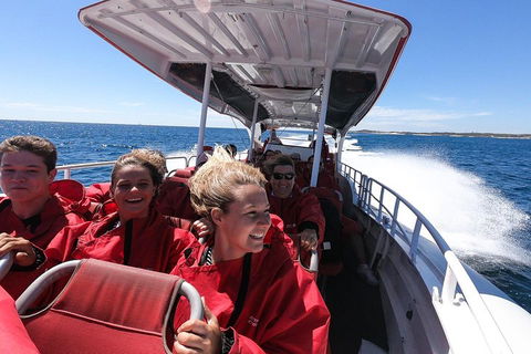Adventure Rottnest Tour With Ferry & Adventure Cruise From Perth Or Fremantle - ACT Tourism 0