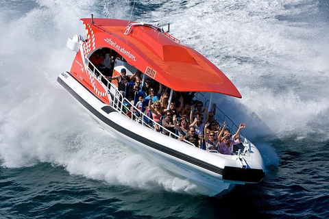 Adventure Rottnest Tour With Ferry & Adventure Cruise From Perth Or Fremantle - ACT Tourism 2
