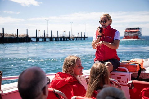 Adventure Rottnest Tour With Ferry & Adventure Cruise From Perth Or Fremantle - ACT Tourism 4