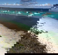 Experience Rottnest with Ferry  Bike Hire from Perth or Fremantle - ACT Tourism