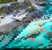 Rottnest Island Round-Trip Ferry from Perth or Fremantle - ACT Tourism