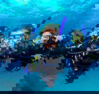 Great Barrier Reef Diving and Snorkeling Cruise from Cairns - ACT Tourism