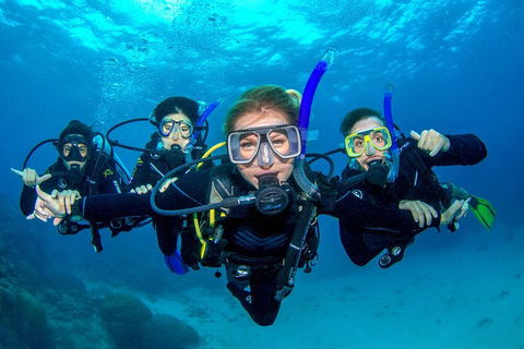 Great Barrier Reef Diving And Snorkeling Cruise From Cairns - ACT Tourism 0
