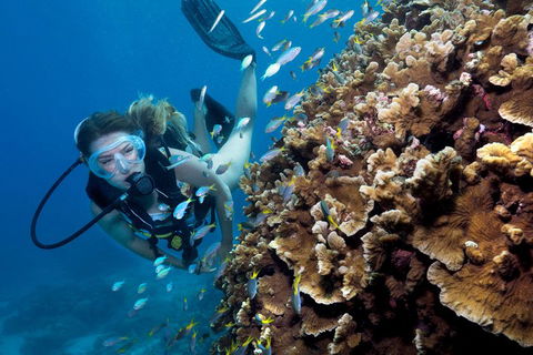 Great Barrier Reef Diving And Snorkeling Cruise From Cairns - ACT Tourism 1