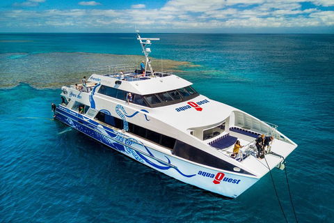 Great Barrier Reef Diving And Snorkeling Cruise From Cairns - ACT Tourism 5