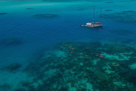Ocean Free Green Island & Great Barrier Reef Snorkel Cruise, Cairns 25 Guests - ACT Tourism 5