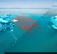 Ocean Freedom Great Barrier Reef Personal Luxury Snorkel  Dive Cruise Cairns - ACT Tourism