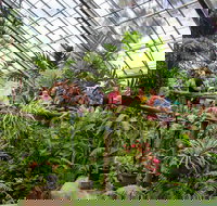 Australian Butterfly Sanctuary - ACT Tourism