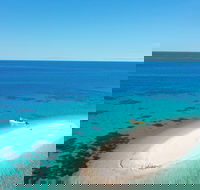 Ocean Safari Great Barrier Reef Experience in Cape Tribulation - ACT Tourism