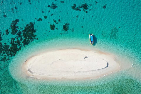 Ocean Safari Great Barrier Reef Experience In Cape Tribulation - ACT Tourism 3