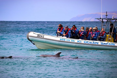 Kangaroo Island 75-Minute Ocean Safari - ACT Tourism 4