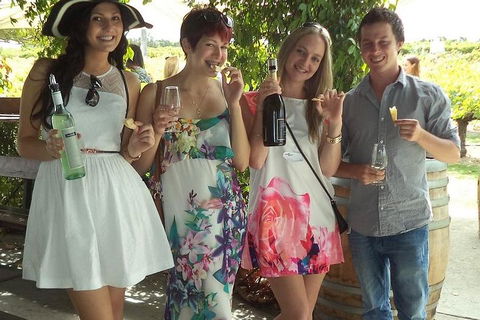 1/2 Day Swan Valley Wine Cheese & Chocolate Tour Inc Afternoon Cruise To Perth - ACT Tourism 4