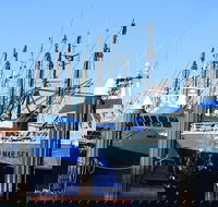 One Day Port Lincoln Tour - Tasting Eyre - ACT Tourism