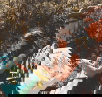 Springbrook andTamborine Rainforest Tour Incl Natural Bridge and Glow Worm Cave - ACT Tourism