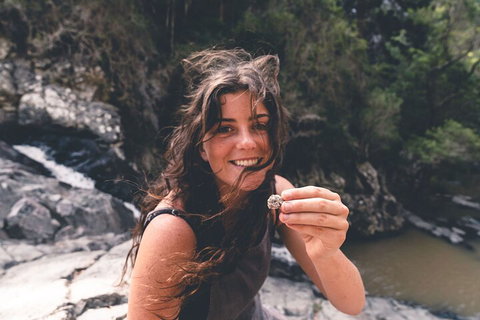 Springbrook AndTamborine Rainforest Tour Incl Natural Bridge And Glow Worm Cave - ACT Tourism 1