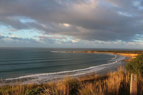 Private Great Ocean Road Day Tour With Early Departure & Early Return (11 Hours) - ACT Tourism 0