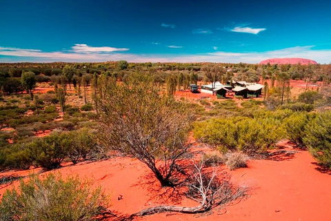 Overnight Uluru (Ayers Rock) Small-Group Camping Tour - ACT Tourism 2