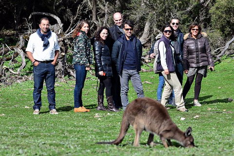 2-Day Kangaroo Island 4WD Small-Group Tour From Adelaide - ACT Tourism 1