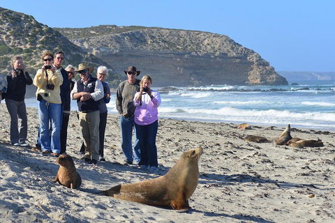 2-Day Kangaroo Island 4WD Small-Group Tour From Adelaide - ACT Tourism 3