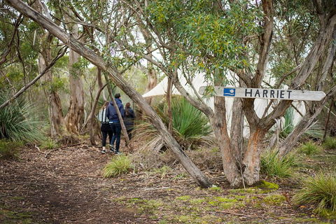2-Day Kangaroo Island 4WD Small-Group Tour From Adelaide - ACT Tourism 5