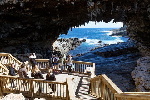 Full Day Flinders Chase Tour From Kangaroo Island - ACT Tourism 1