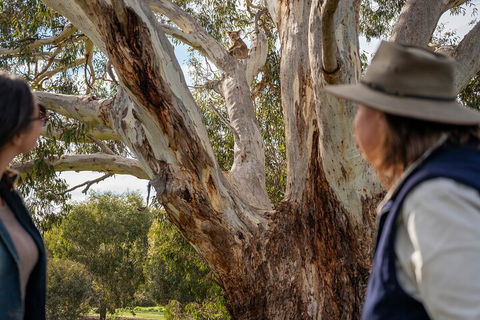 Full Day Flinders Chase Tour From Kangaroo Island - ACT Tourism 5