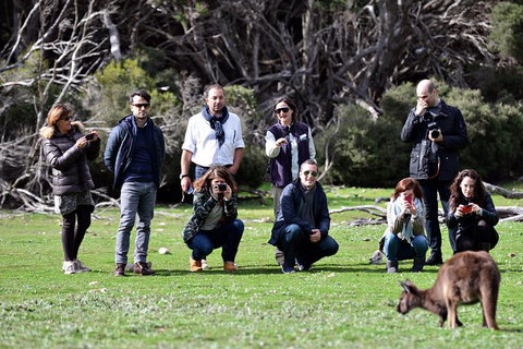 Small-Group Kangaroo Island 4WD Tour From Adelaide - ACT Tourism 2