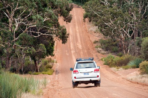 Small-Group Kangaroo Island 4WD Tour From Adelaide - ACT Tourism 3