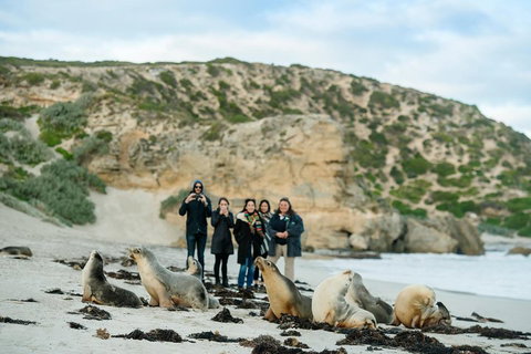 Small-Group Kangaroo Island 4WD Tour From Adelaide - ACT Tourism 4