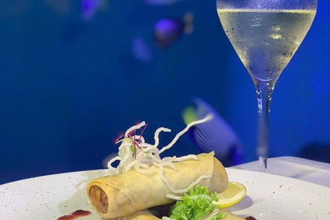 Cairns Aquarium And Small Group City Sightseeing Tour - ACT Tourism 5