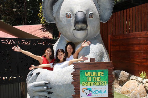 Kuranda Koala Gardens And Birdworld Admission Tickets - ACT Tourism 3