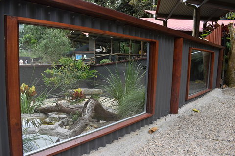 Kuranda Koala Gardens And Birdworld Admission Tickets - ACT Tourism 4