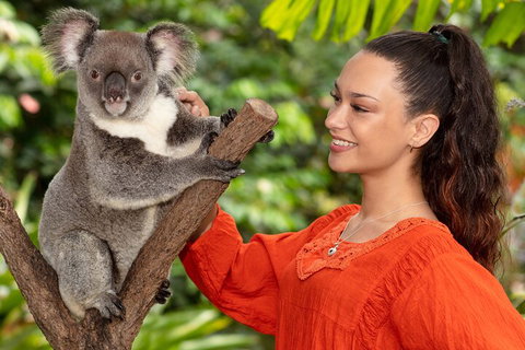 Kuranda Wildlife Experience Three Attraction Pass - ACT Tourism 4