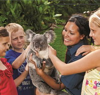 Kuranda Koala Gardens General Entry Ticket - ACT Tourism
